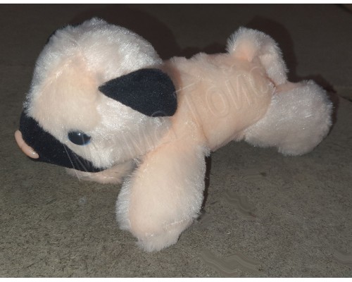 Мягкая игрушка Кошечка в сумке 2 вида, 18 см (17054)