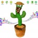 Танцующий кактус Повторюшка в шляпе
