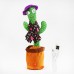 Танцующий кактус Повторюшка в шляпе
